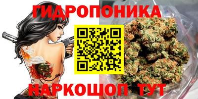 скорость Будённовск