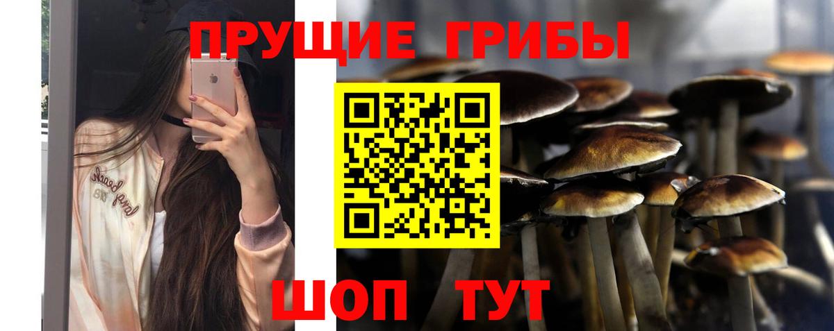 Борисоглебск  Галлюциногенные грибы Cubensis  Вход с VPN 