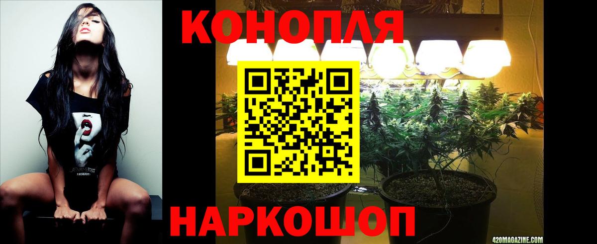 МАРИХУАНА Ganja Борисоглебск